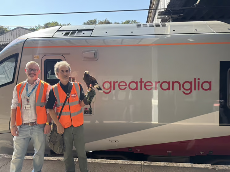 Hawks and falcons are being used to scare off pigeons at train stations in Norwich, Ipswich and Cambridge - a natural, non-harmful way to keep platforms clean and peaceful.