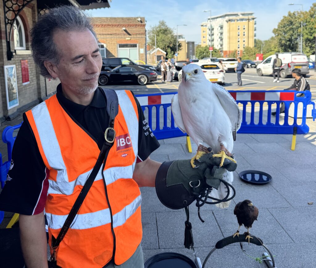 Hawks and falcons are being used to scare off pigeons at train stations in Norwich, Ipswich and Cambridge - a natural, non-harmful way to keep platforms clean and peaceful.