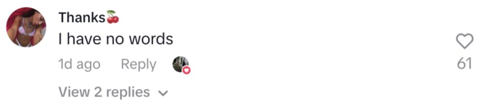 Social media comment on the post of A TikToker went viral in Ibiza after belly flopping into a flooded street and pretending to swim as heavy rain left roads waterlogged and crews battled to clear the damage.