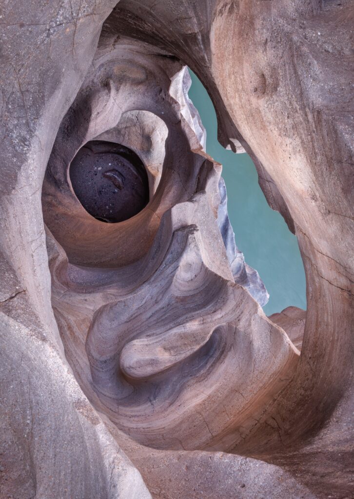 Joy Kachina from Tasmania has been named Photographer of the Year at the Natural Landscape Photo Awards 2025 for a stunning tree portfolio, while Margrit Schwarz won Photograph of the Year.
