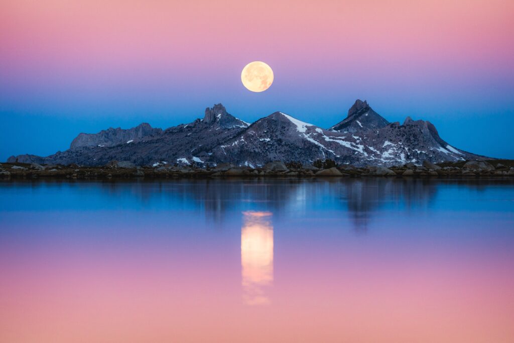 Joy Kachina from Tasmania has been named Photographer of the Year at the Natural Landscape Photo Awards 2025 for a stunning tree portfolio, while Margrit Schwarz won Photograph of the Year.