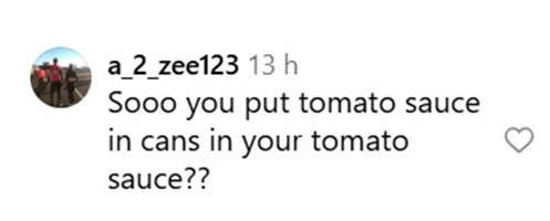 Social media comment on the post of Stanley Tucci sparked outrage after washing tomato seeds and adding canned tomatoes to his homemade sauce, leaving fans divided over his surprising Italian cooking method.