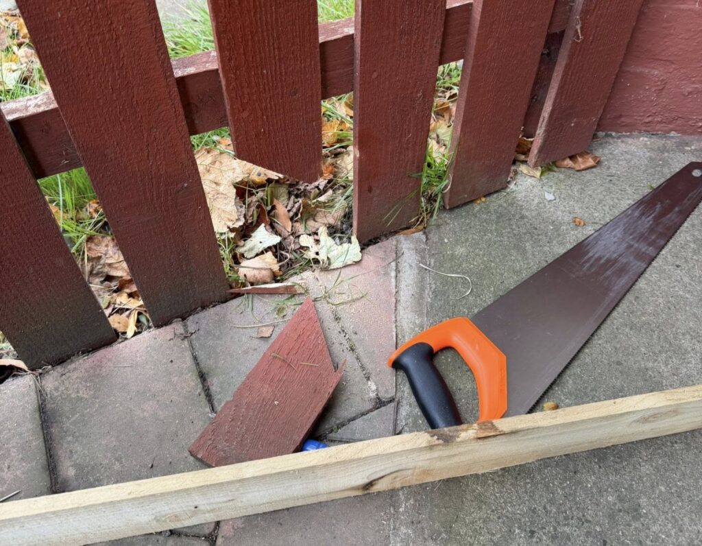 A rescuer saved a tiny hedgehog trapped in a garden fence in Dunfermline, Scotland - carefully sawing through wood to free the frightened creature before rushing it to care.