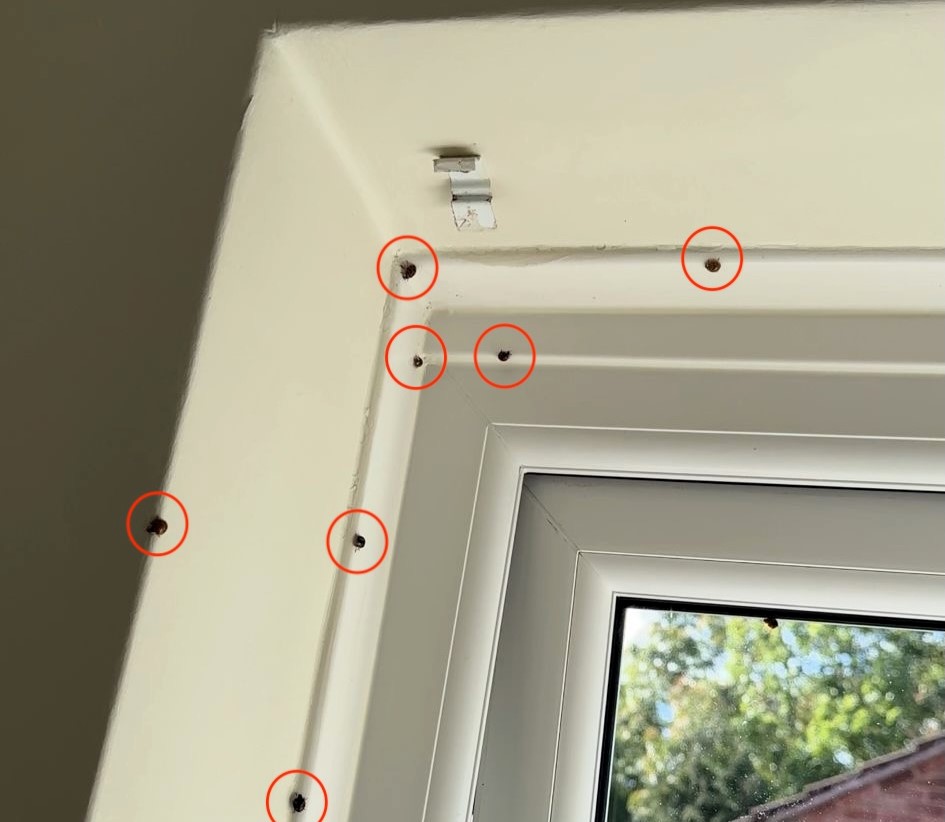 Laura Wilson, 32, from Leicester, was horrified after hundreds of ladybirds swarmed her home, covering her walls and ceilings. She shared the ordeal on TikTok, where her video went viral with nearly a million views.