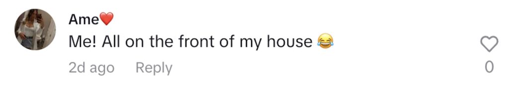 Social media comment on the post of Woman says hundreds of ladybirds invaded her home and even peed on her - Hertfordshire resident horrified as bugs swarm walls and windows after waking from hibernation.