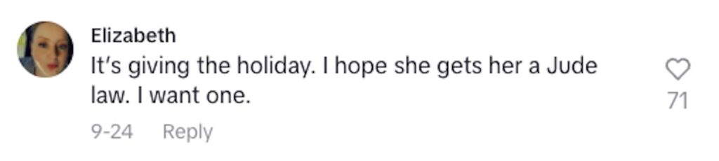 Social media comment on the post of Marie sharing her flat with a tiktok stranger.