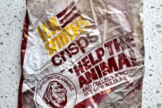 A beach cleaner found decades old litter on Fistral Beach including a 52 year old crisp packet a 1930s Cooltan tube and a lobster tag that travelled 3,000 miles highlighting ocean waste’s long life.