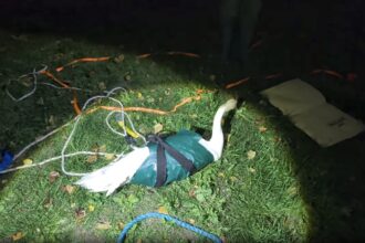 Rescuer saves swan trapped under a mill water wheel in a risky night time mission as Graham Porter scales down with ropes and gear to free the distressed bird with help from mill staff.