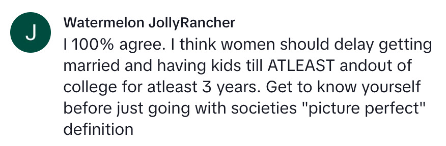 Social media comment on the post of Lauren Joyce child free video