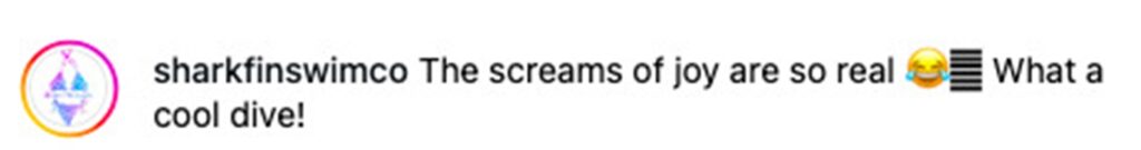 Social media comment on the post of A couple diving in Egypt’s Red Sea were left speechless as a pod of playful dolphins surrounded them - their magical encounter has since gone viral with over 1.2 million views.