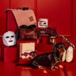 Sausage dog Bobby Dassler becomes the star of Brown Thomas Christmas campaign charming Ireland with festive ads window displays and events as the beloved pup rises to national fame.