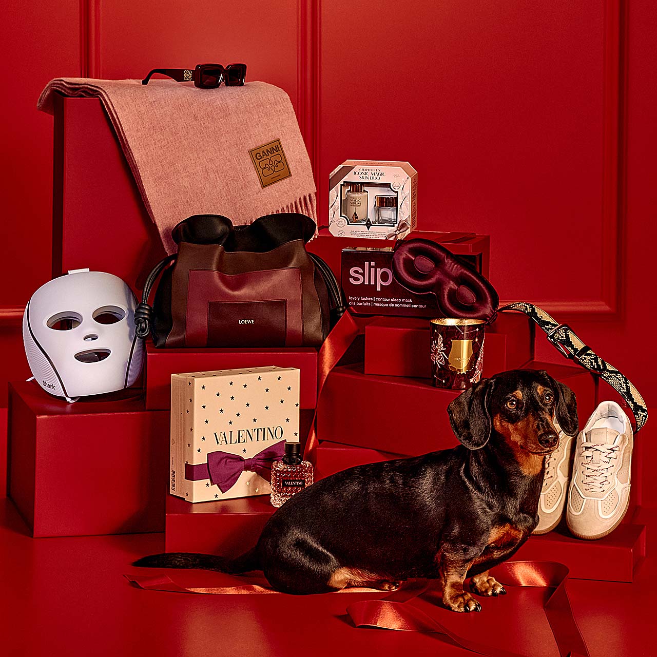 Sausage dog Bobby Dassler becomes the star of Brown Thomas Christmas campaign charming Ireland with festive ads window displays and events as the beloved pup rises to national fame.