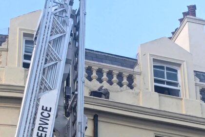 A tangled seagull sparked a dramatic multi crew rescue on Brighton seafront after getting caught in loose netting five storeys up before the RSPCA freed and released the feisty bird safely.