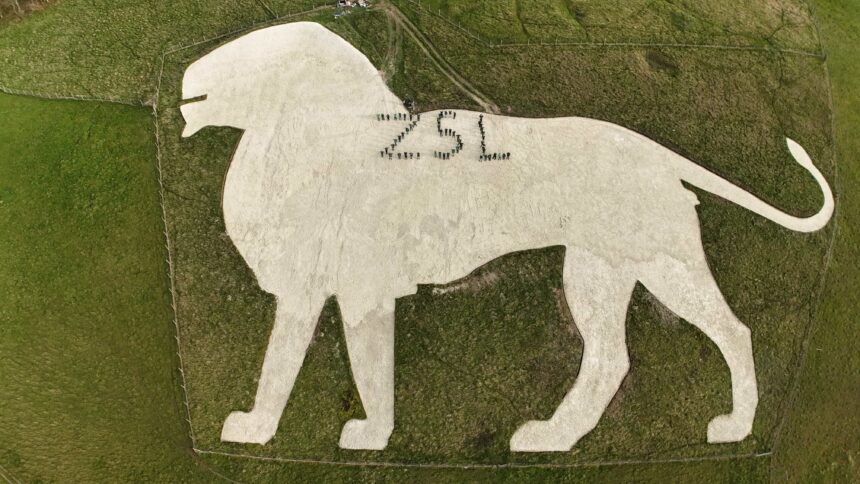 Over 60 volunteers helped restore Whipsnade Zoo’s iconic white lion by stomping 1,100 tonnes of chalk into place, reviving the 1930s landmark ahead of ZSL’s 200th anniversary.
