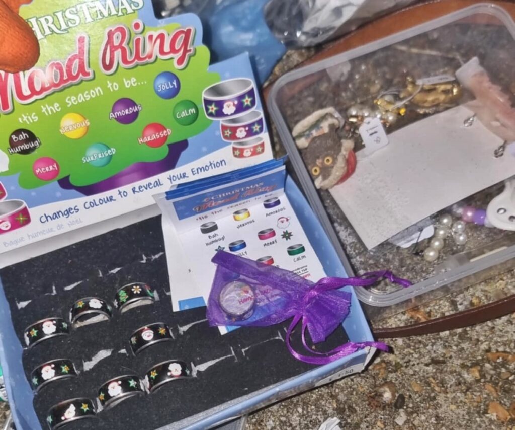 A dumpster diver from Portsmouth makes £600 a month rescuing valuable items like jewellery and designer bags from shop bins using a storage unit to hold his incredible finds.