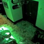 Creepy CCTV at a former prison turned B&B shows a shadowy figure seeming to walk through a wall leaving the owner and locals convinced the historic Cardigan guest house may be haunted.