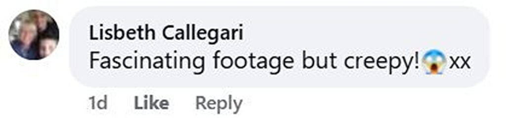 Social media comment on the post of Creepy CCTV at a former prison turned B&B shows a shadowy figure seeming to walk through a wall leaving the owner and locals convinced the historic Cardigan guest house may be haunted.