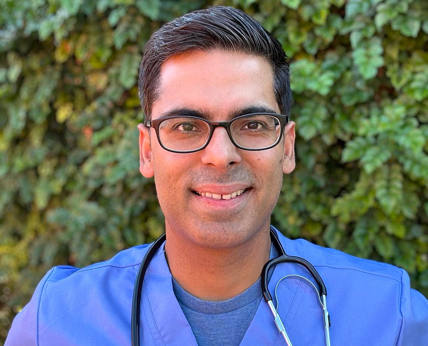 A doctor says chia flax and basil seeds act like a brush for the gut as their fibre supports digestion reduces inflammation and helps regulate bowel movements when eaten daily.