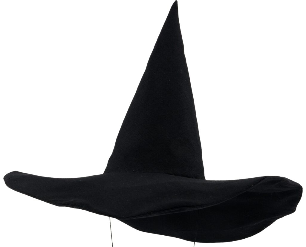 The Wicked Witch of the West’s hat from The Wizard of Oz is expected to sell for over $3M at a Dallas auction featuring rare Hollywood treasures including Star Wars and Terminator items.