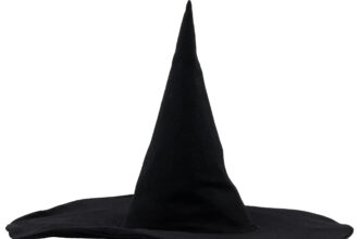 The Wicked Witch of the West’s hat from The Wizard of Oz is expected to sell for over $3M at a Dallas auction featuring rare Hollywood treasures including Star Wars and Terminator items.