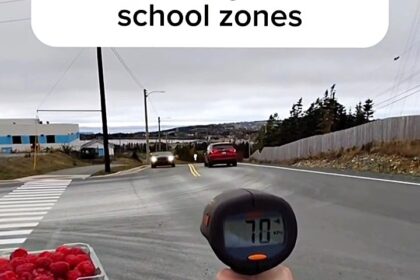 A Canadian man went viral after throwing raspberries at speeding cars outside a school to raise awareness about road safety. The staged videos aim to promote safer driving habits.