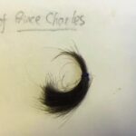 Rare lock of King Charles hair cut in the 1960s by his royal barber goes on sale for 7995 pounds as part of a unique childhood collection featuring tools letters and memorabilia.