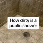 A microbiologist swabbed a gym shower floor and revealed alarming bacterial growth proving why wearing flip flops is essential with his viral test shocking thousands online.