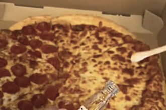 A microbiologist’s pizza experiment shocks TikTok after revealing high bacteria on fresh pepperoni slices. Day-old pizza showed less growth, leaving viewers baffled but unfazed.