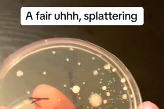 Nick testing his own flatulence for bacteria.