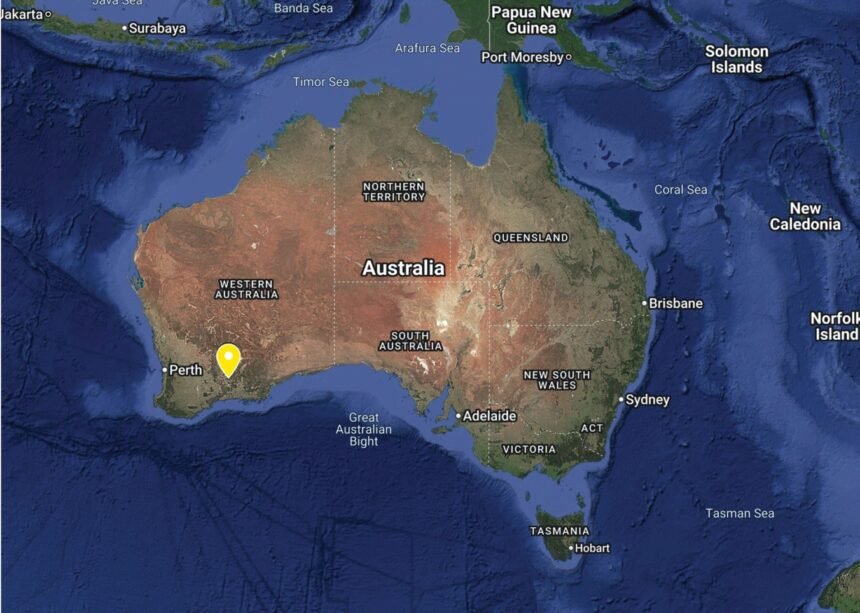 Bremer Ranges New Lucifer bee with devil-like horns discovered for first time – and ...