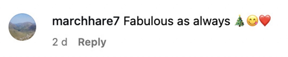 Social media comment on the post of Nigella Lawson boosts her Christmas pudding with sherry soaked fruit and a vodka flame using 300ml of booze in total as fans praise her indulgent festive recipe packed with signature flair.