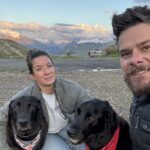 An off grid couple find solace in a remote Devon cabin that becomes a healing sanctuary for their dog Bear during cancer treatment offering calm privacy and hope in a difficult time.