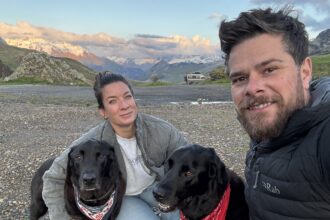 An off grid couple find solace in a remote Devon cabin that becomes a healing sanctuary for their dog Bear during cancer treatment offering calm privacy and hope in a difficult time.