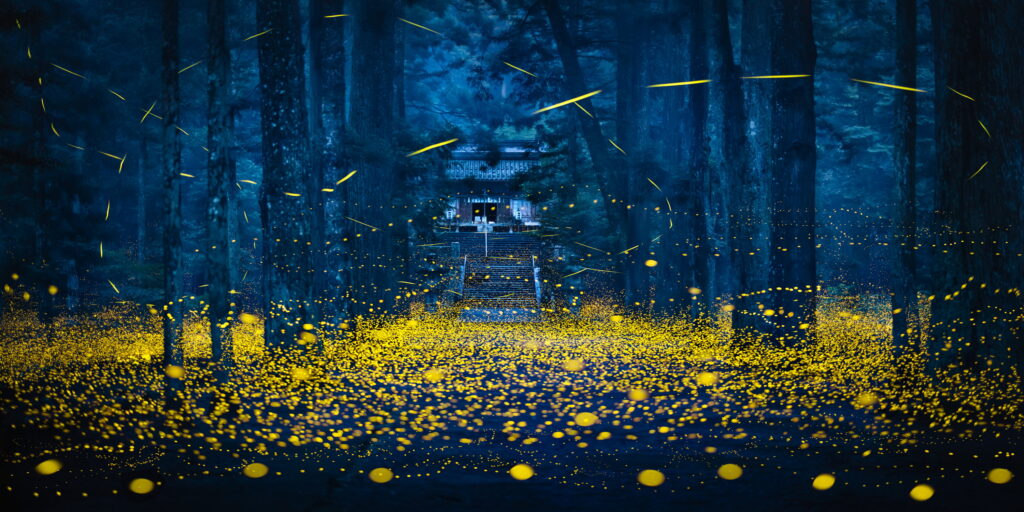 Italian photographer Alex Wides wins Epson International Pano Awards 2025 for breathtaking panoramas. His fiery desert and aurora scenes captivated judges worldwide.