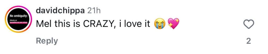 Social media comment on the post of Melanie Blatt prepares deep-fried rice pudding burger, topped with caramelised cinnamon apples and served with chocolate dipping sauce.