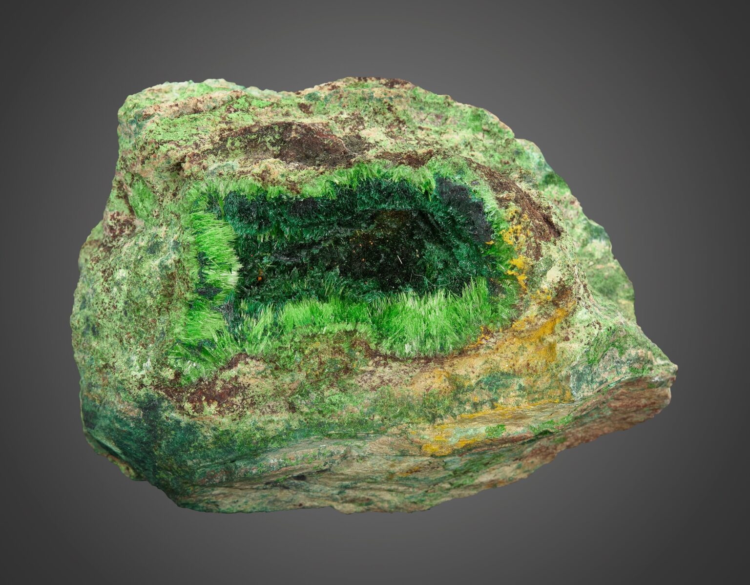 A rare green cuprosklodowskite mineral sample from the Congo is up for auction in Dallas with bids starting at $500 prized for its radioactive beauty and unique uranium rich crystal structure.