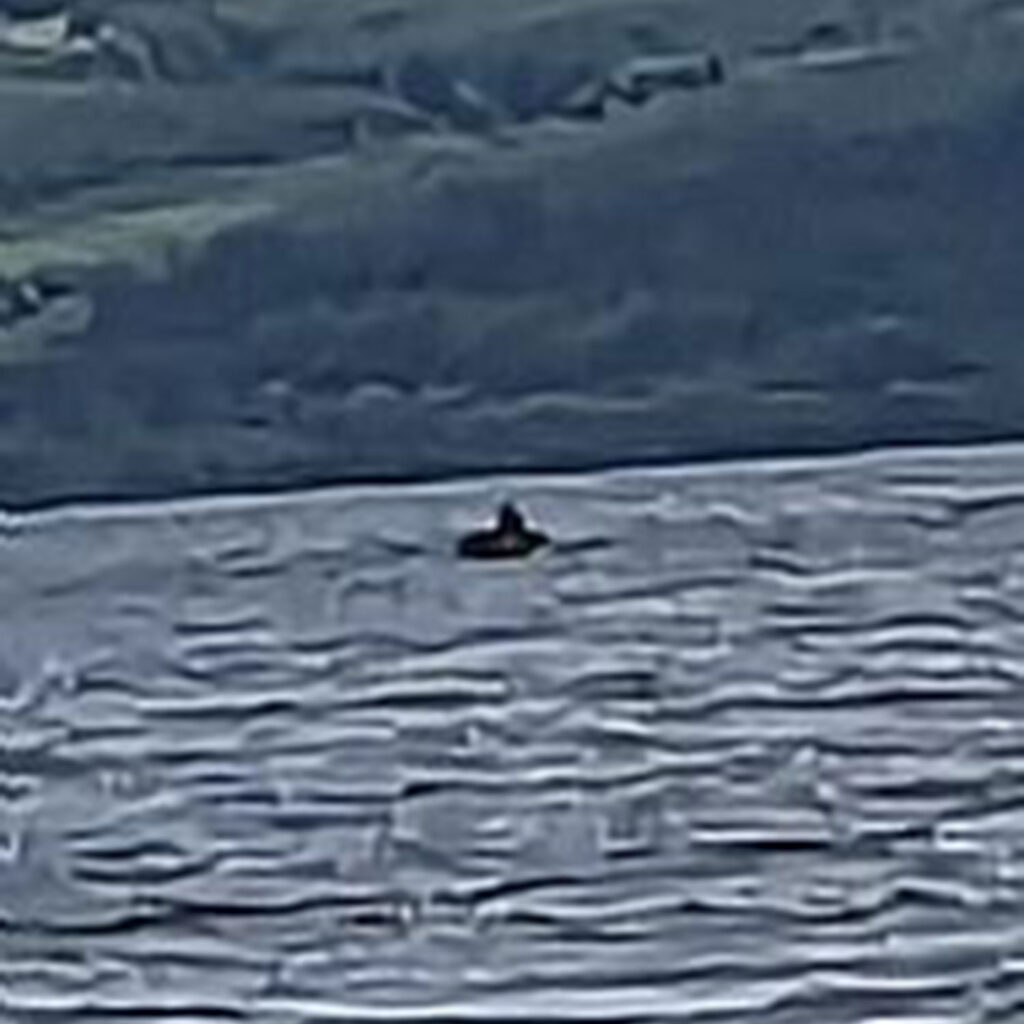 A man visiting Loch Ness claims he saw a dark shape moving across the water for 30 seconds before it vanished, marking just the fourth Nessie sighting recorded this year.