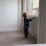 Seagull swooped in through the window and grabbed the cake from the child’s hands