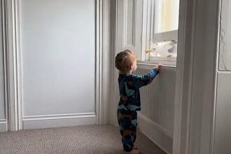 Seagull swooped in through the window and grabbed the cake from the child’s hands