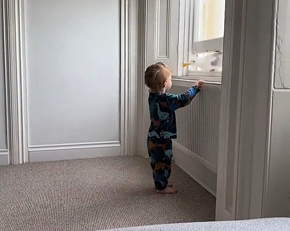 Seagull swooped in through the window and grabbed the cake from the child’s hands