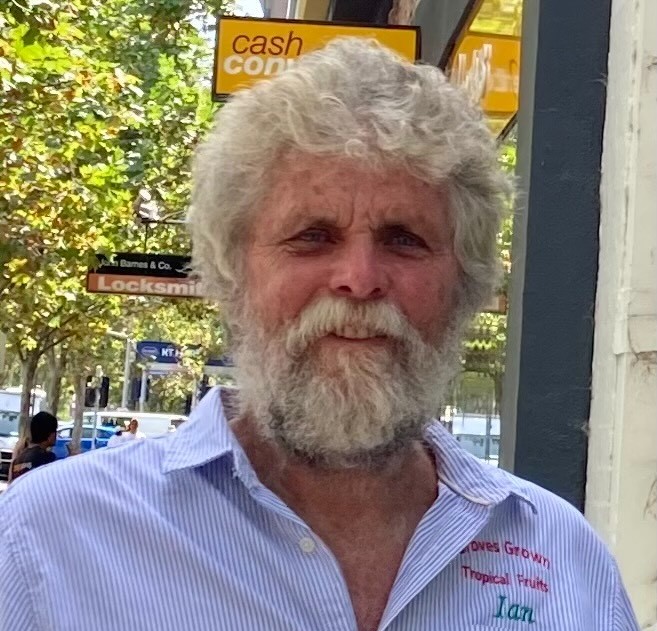 Farmer Ian Groves Queensland farmer spots giant web crawling with huntsman spiders