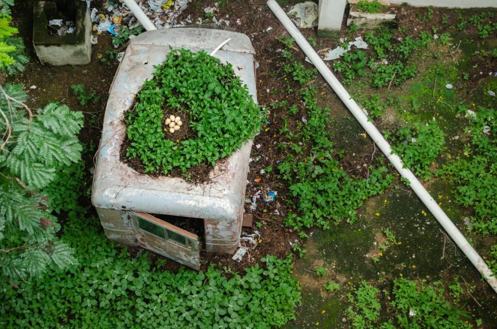 The Special Mention image in the Coexistence category, captured by Milap Madhikar.