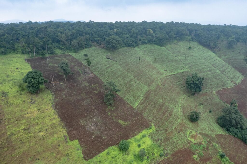 The portfolio winner image by Rukhiya Mohammed