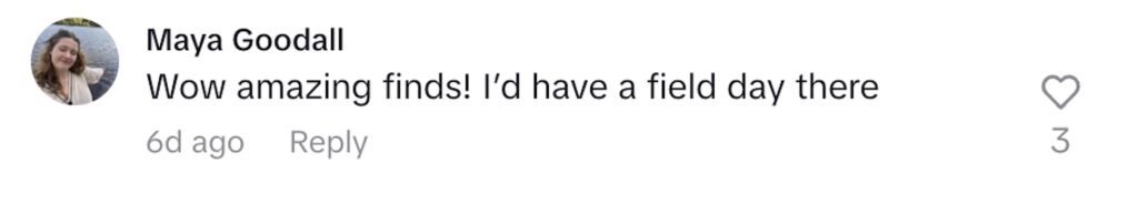 Becky Chorlton found a £650 Barracuta designer trench coat for just 70p at a car boot sale, turning her thrifty £7 haul into a viral TikTok moment and major fashion win.