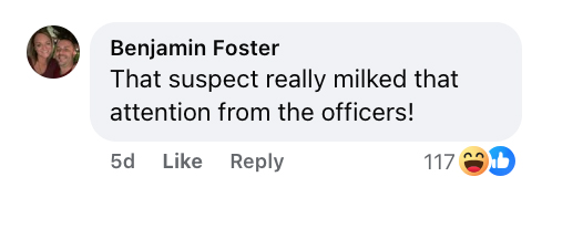 Social media comment on the post of Runaway cow dubbed Pumpkin causes chaos in Palm Beach County as cops chase wrangle and befriend the escapee in a viral encounter that left locals amused and social media buzzing.