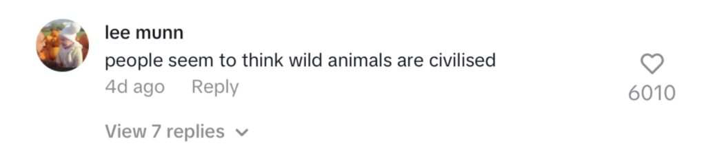 Social media comment on the post of A woman’s close encounter with a fox turned terrifying when the animal suddenly lunged at her as she filmed - leaving her screaming in fear before the viral clip hit millions of views.