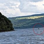 Holidaymaker Mishawn Mielke reports seeing a black headed three metre long shape in Loch Ness saying it created its own wake marking the fifth possible Nessie sighting of the year.