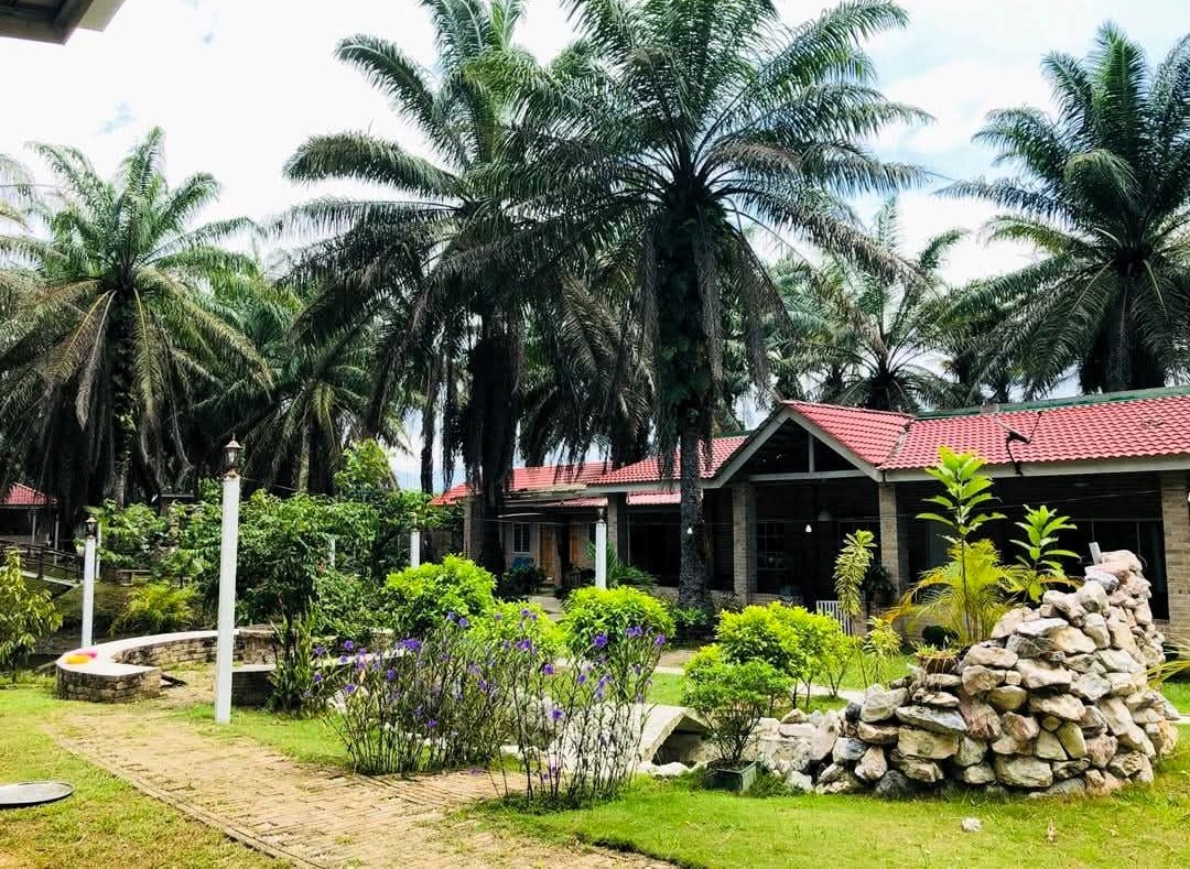 Youth retirement home opens for burned out Gen Z offering a month of sleep nature and no schedules as stressed young adults seek escape from modern pressure.
