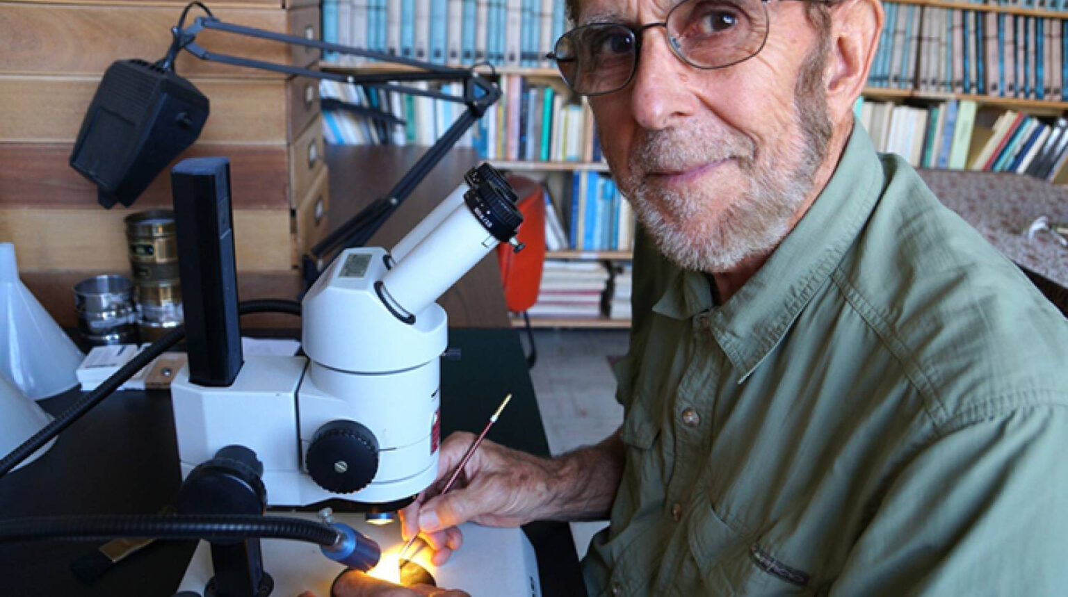 Scientists find shocked quartz at Clovis sites supporting the idea a fragmented comet exploded over Earth 13000 years ago triggering megafauna extinctions and the collapse of the Clovis culture.