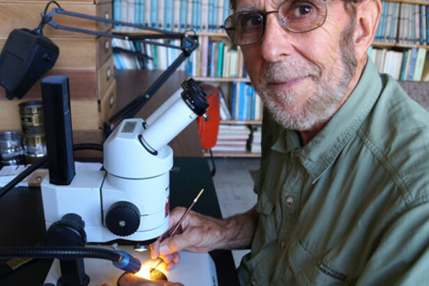 Scientists find shocked quartz at Clovis sites supporting the idea a fragmented comet exploded over Earth 13000 years ago triggering megafauna extinctions and the collapse of the Clovis culture.